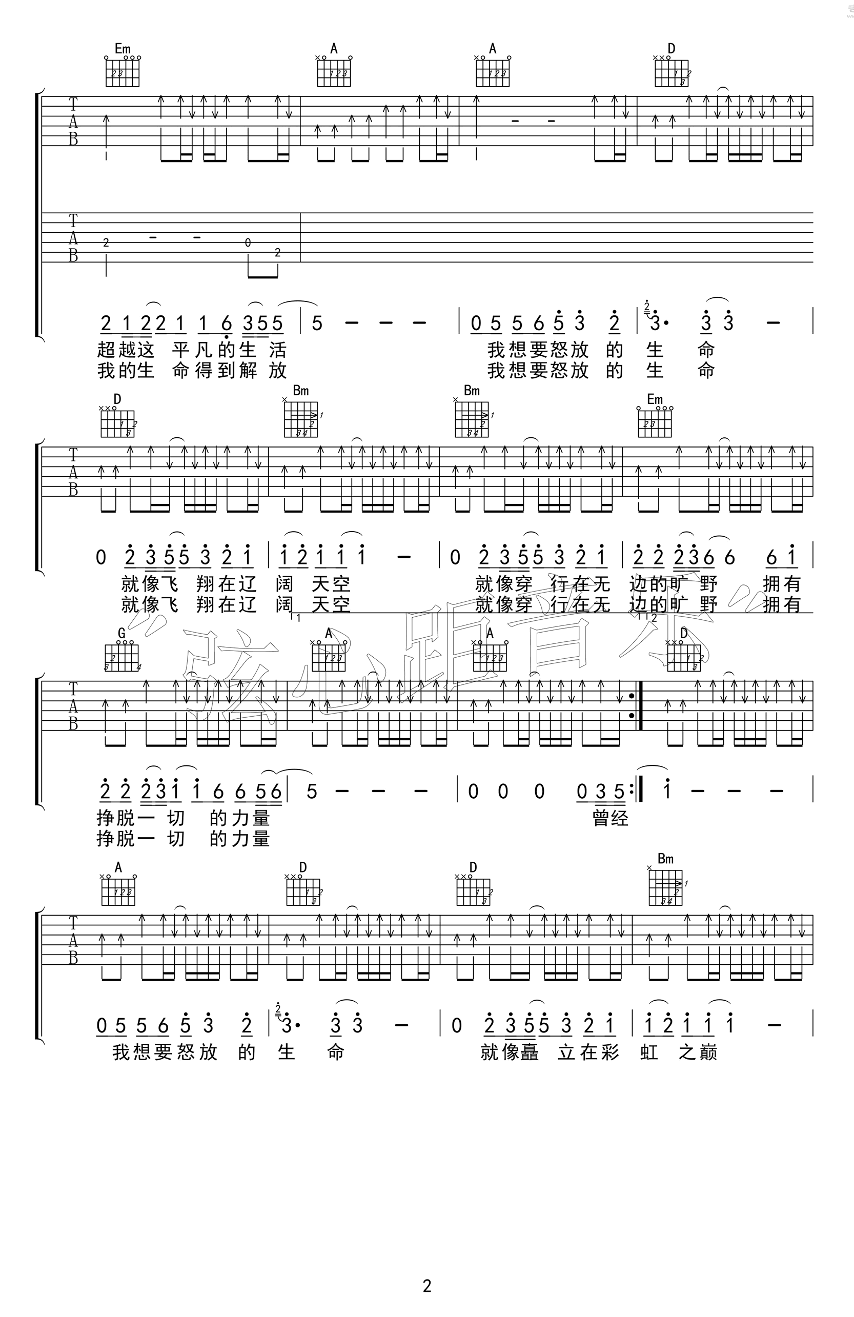 怒放的生命吉他谱双吉他版本2