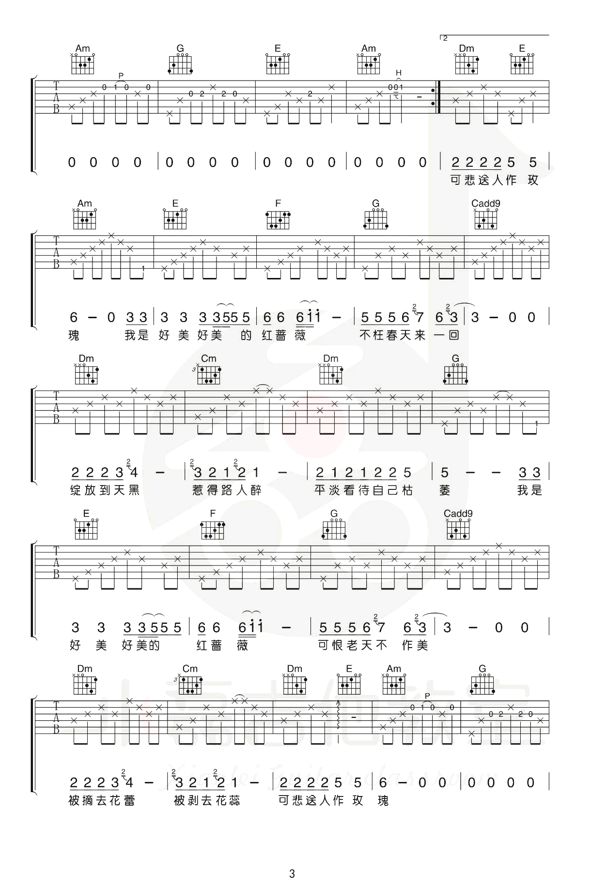 王宝与正午阳光《红蔷薇》吉他谱-3