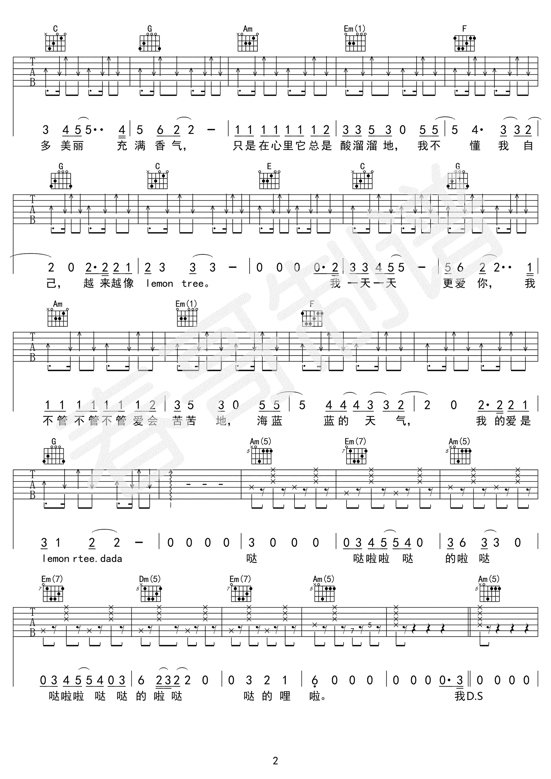 Lemon Tree吉他谱国语版