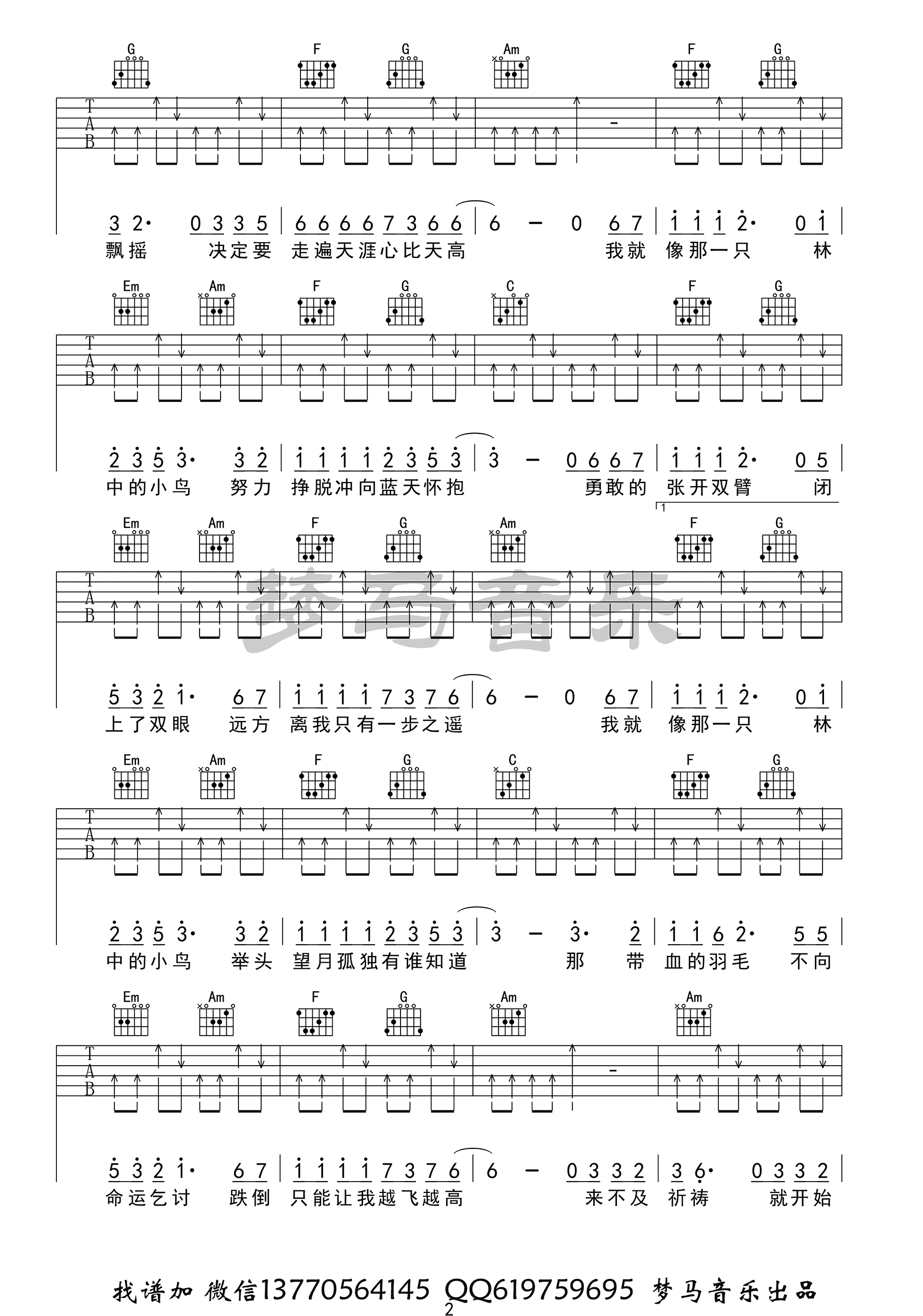 林中鸟吉他谱C调