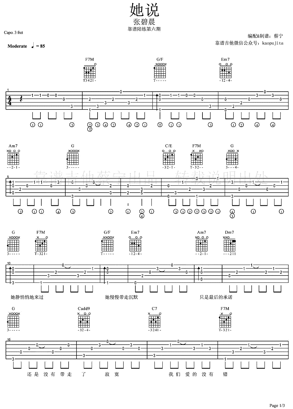 张碧晨《她说》吉他谱 蔡宁吉他谱