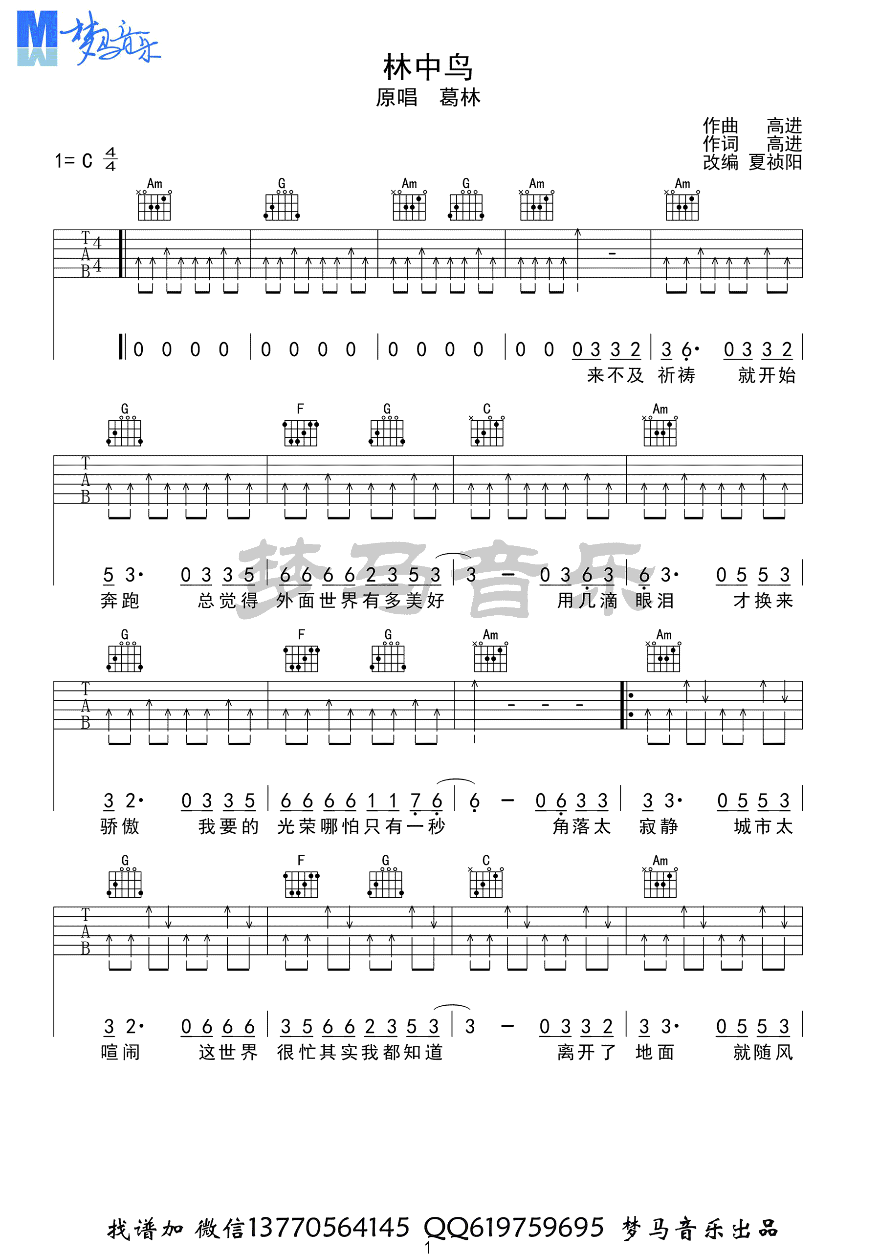 林中鸟吉他谱