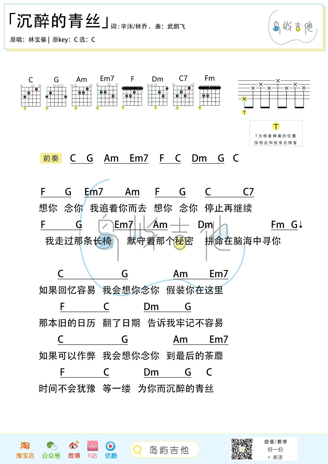 沉醉的青丝吉他谱-林宝馨3