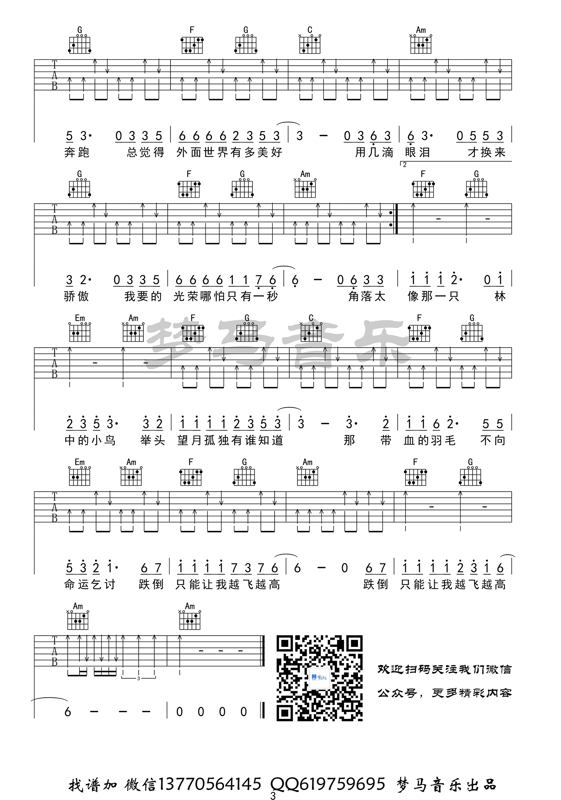 林中鸟吉他谱 葛林