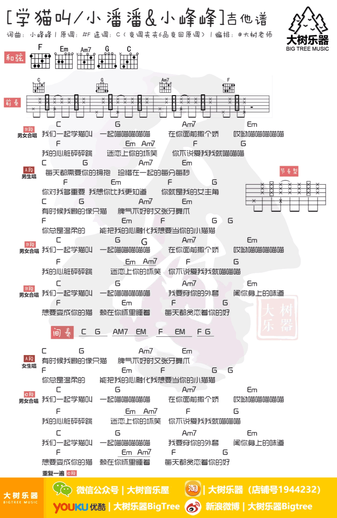 学猫叫吉他谱 抖音歌曲