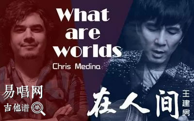 在人间What are words吉他谱 库吉他