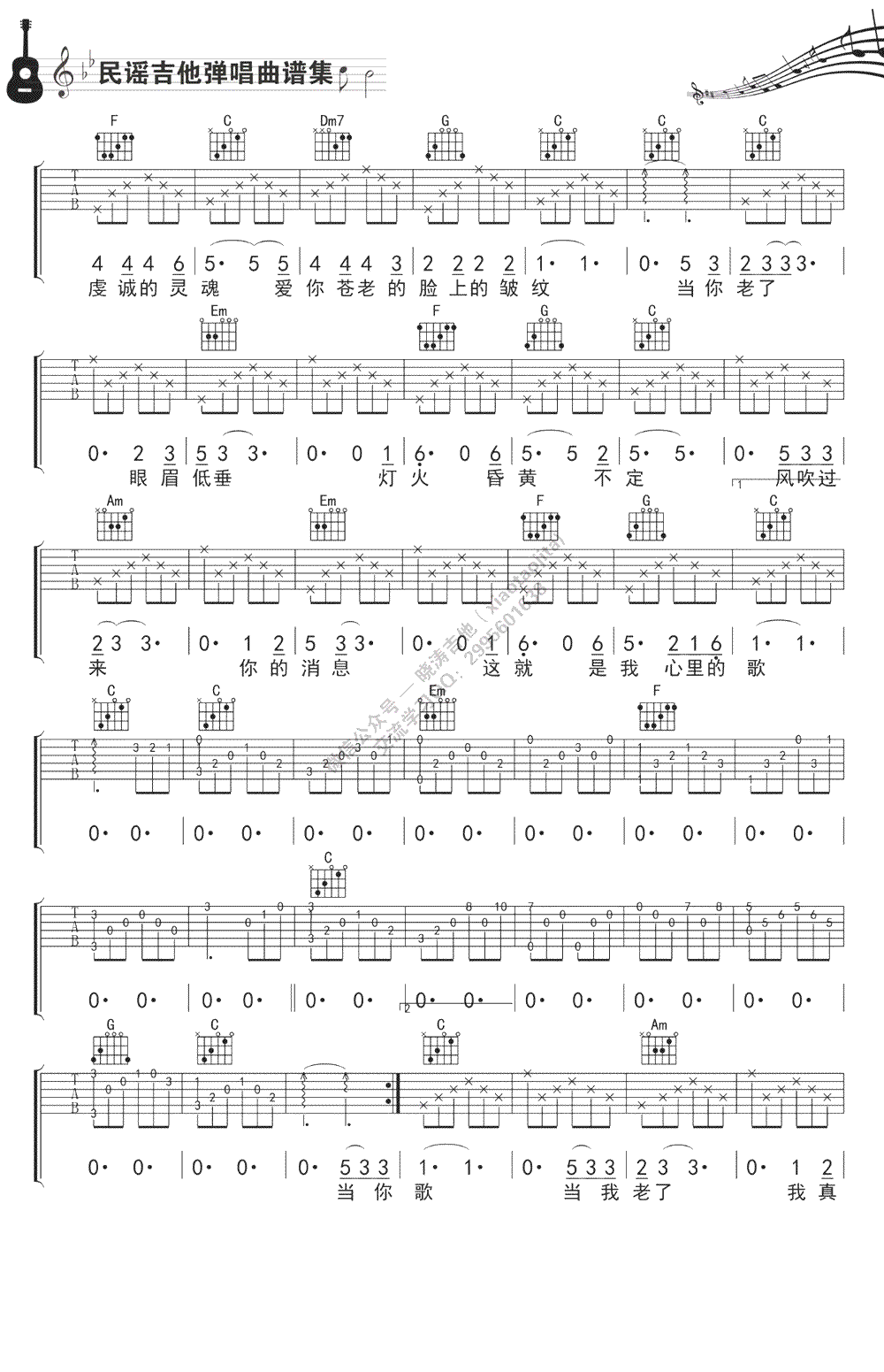 赵照 当你老了吉他谱2
