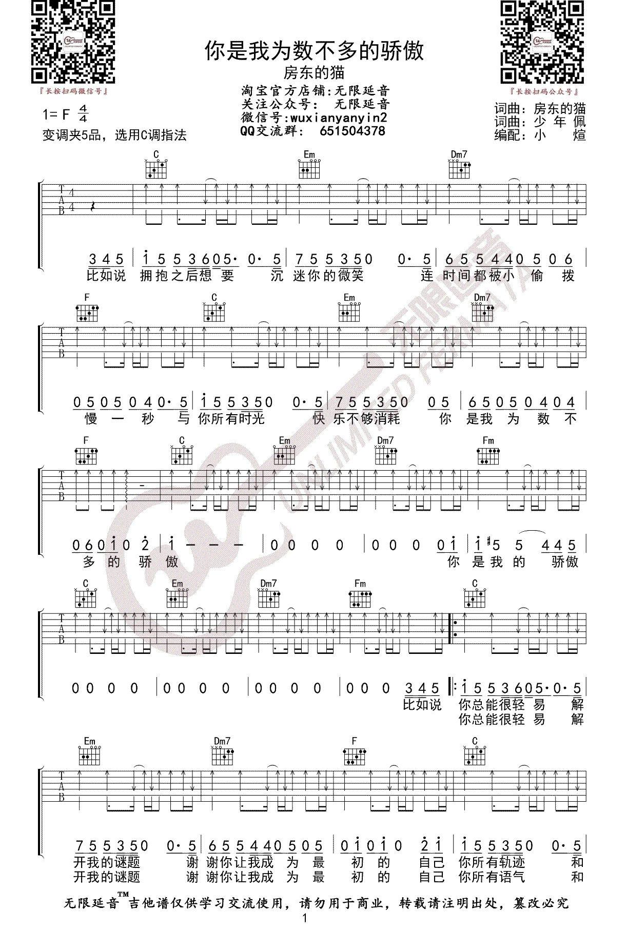 房东的猫《你是我为数不多的骄傲》吉他谱-1